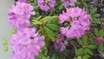 20160523_114042.jpg