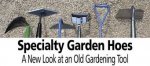 images-13.jpeg images-13.jpeg
