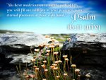 Psalm 16v11 (2).jpg