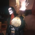 sting4.jpg