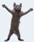 6824.gif
