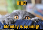 Hide Monday is coming.png