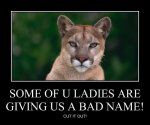 Cougar kitty.jpeg