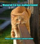 Monorail cat.jpeg