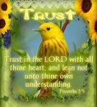 Proverbs 3v5.jpg
