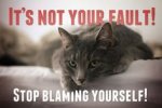 Stop Blaming Yourself.jpg