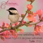Psalm 13v5.jpg