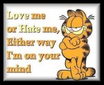 garfield-quote-1.jpg