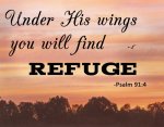 Psalm 91v4.jpg