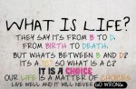 What Is Life.jpg