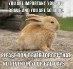 You Are.jpg
