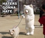 Haters_e58da9_1908034.jpg