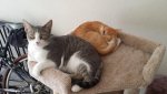 20160605_161246.jpg