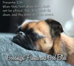 Proverbs 3v24.jpg