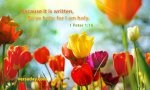 0813-1PE001016ENGKJV08000480ISP08664639000.jpg