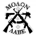 gun1-rwerwewer.jpg