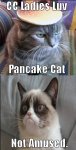 grumpy vs pancake.jpg