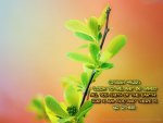 isaiah45-22.jpg
