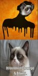 gumpy vs grumpy cat.jpg