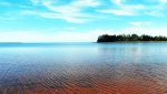 Cottage.jpg