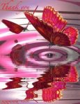 Keefers_AnimatedButterfliesThank-2.jpg