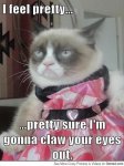 grumpy_cat_feel_s_pretty_540.jpg