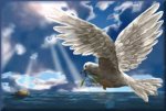 Animation_Dove.jpg