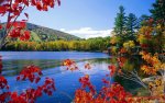 wallpaper-hd-nature-free.jpg