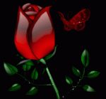 Animated-Beautiful-Flowers-Pictures-21.gif