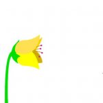 Butterfly2.jpg