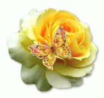 Animated-Beautiful-Flowers-Pictures-50.gif