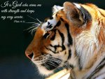 47d119107af0e1bae691eb60c529ed61.jpg