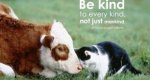 Be Kind.jpg