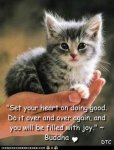 Set Your Heart.jpg