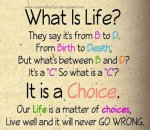 What Is Life (2).jpg