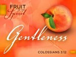 Colossians 3v12.jpg