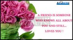 A Friend Who Knows.jpg