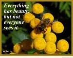 Everything Has Beauty.jpg