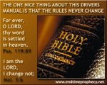 Driver's Manual.jpeg