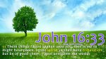John 16v33.jpg