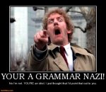 your-a-grammar-nazi-pointing-fingers-demotivational-posters-1341033114-1.jpg