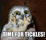 tickles.jpg tickles.jpg