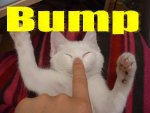 bump_kitty.jpg bump_kitty.jpg