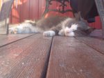 DSC00476.jpg