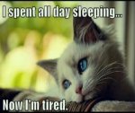 sleeping.jpg