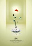 Zen-posters-design-source-psd-files.jpg