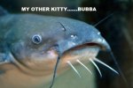 white catfish face.jpg