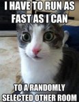 753ad38f3fba17033a93353e03df4ba7.jpg