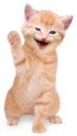 waving.jpg