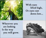 growth.jpg growth.jpg